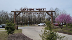 Lakeside Forest Wilderness Area