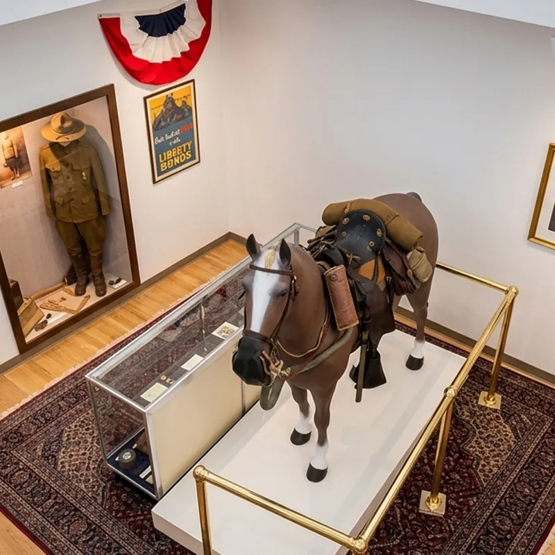 Copy of Gallery(2)