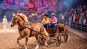 Dolly Parton’s Stampede Dinner Attraction