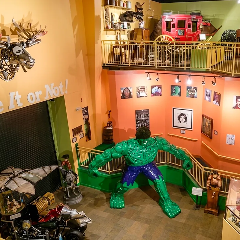Gallery(1)
