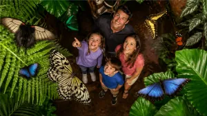 The Butterfly Palace & Rainforest Adventure