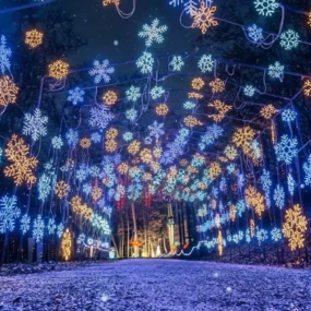 Branson Christmas Drive-Through Light Displays