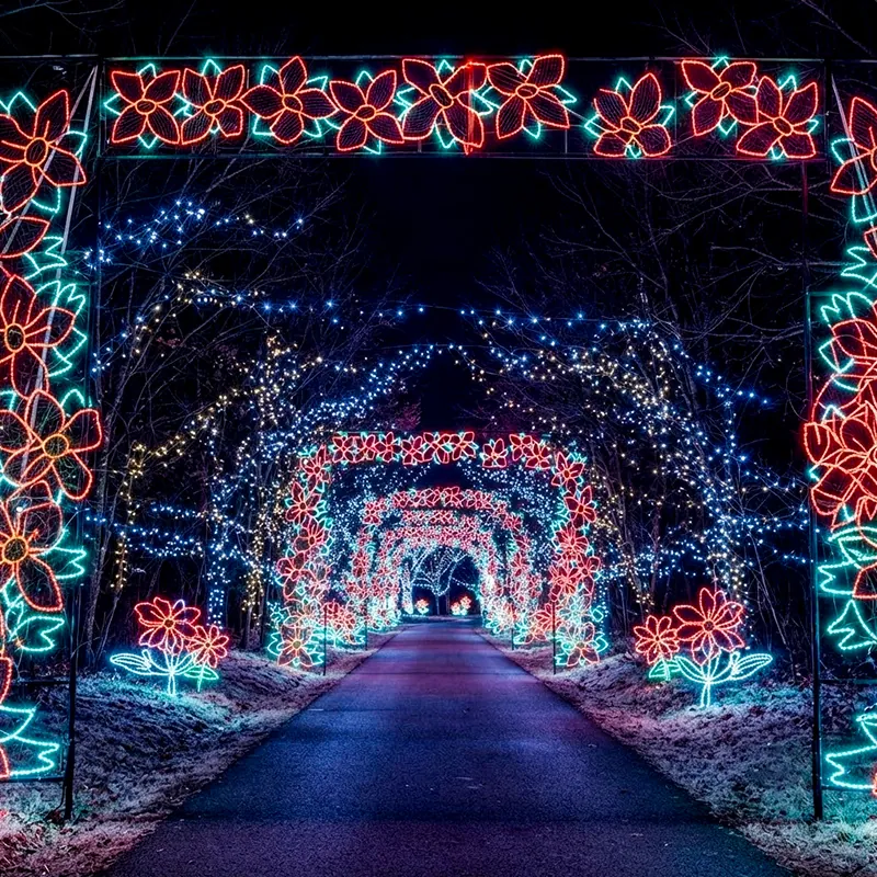 Events-november-gallery-branson-christmas-drive-through-light-displays-05