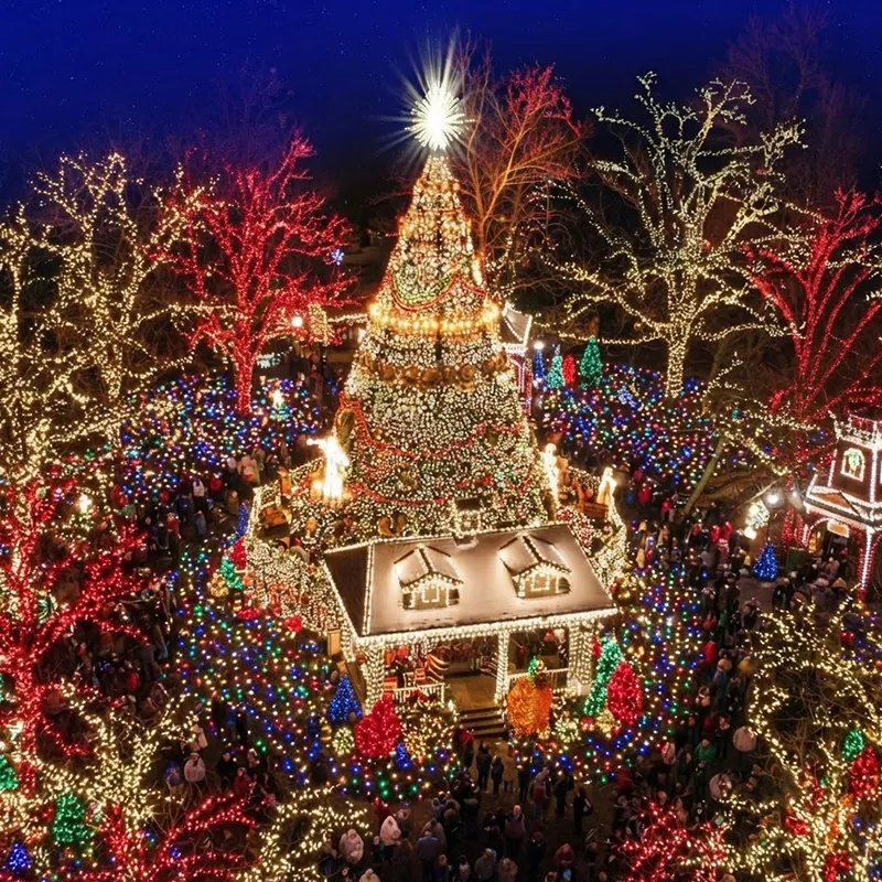 Events-november-gallery-branson-christmas-tree-tour-01