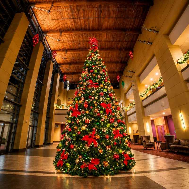 Events-november-gallery-branson-christmas-tree-tour-02