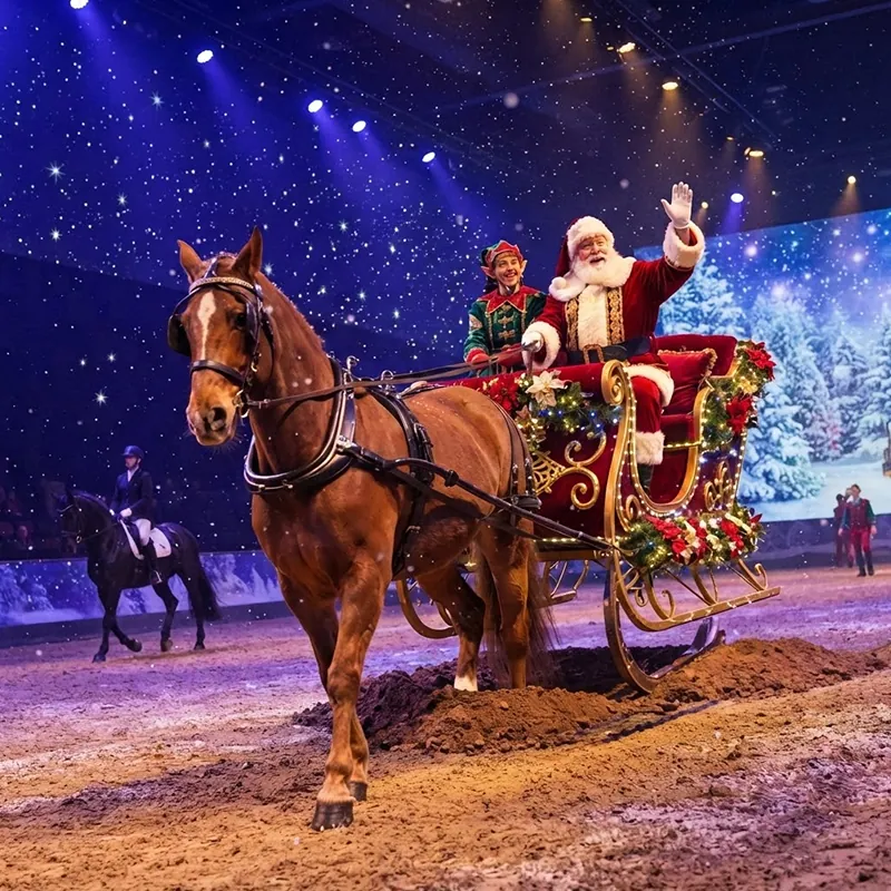 Events-november-gallery-christmas-at-dolly-parton_s-stampede-03
