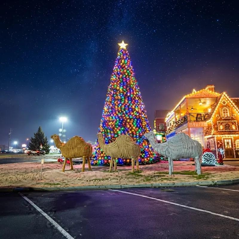 Events-november-gallery-christmas-at-dolly-parton_s-stampede-05