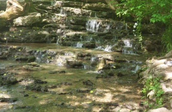 Shallow creek cascading over mossy limestone ledges