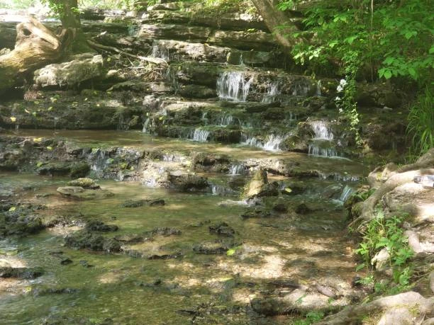 Shallow creek cascading over mossy limestone ledges