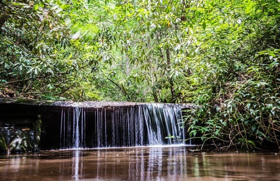 Small waterfall spilling over a rock ledge in a green forest