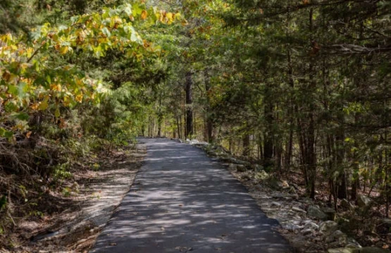 Shaded paved nature trail through green and autumn trees