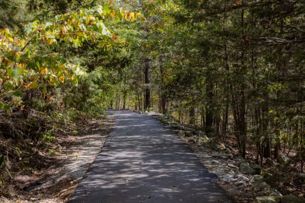 Shaded paved nature trail through green and autumn trees