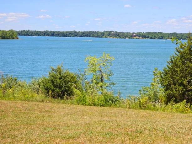 Blue lake view from a grassy hillside on a sunny day