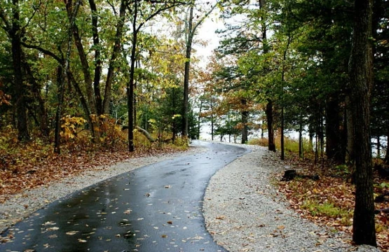 Wet paved trail through autumn woods with fallen leaves