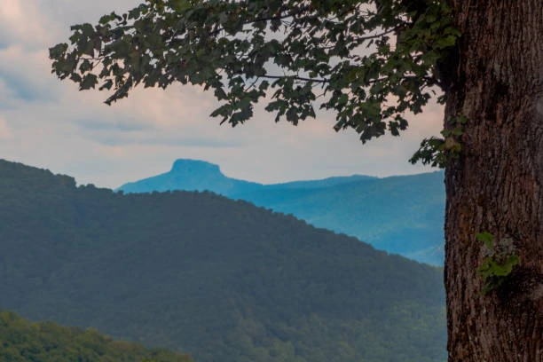 Mountain ridges in blue haze at sunrise framed by a large tree