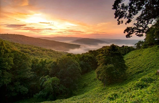 Sunrise over misty green valleys and forested hills