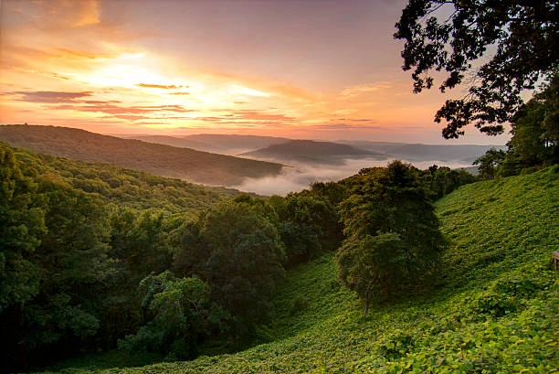 Sunrise over misty green valleys and forested hills