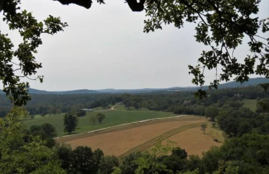 Overlook view of Ozark farmland and wooded hills framed by tree branches