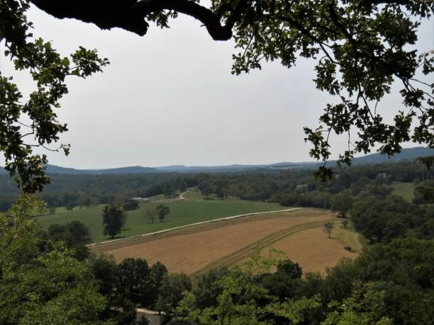 Overlook view of Ozark farmland and wooded hills framed by tree branches