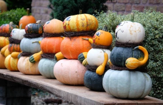Stacked pumpkins and gourds decorated as smiling fall figures on a wooden bench