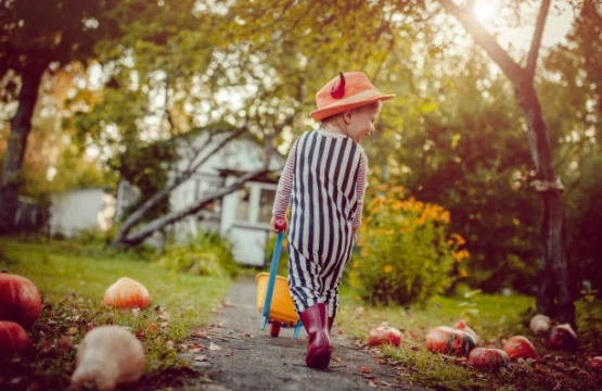 Toddler in a striped Halloween costume pulling a toy wagon past pumpkins