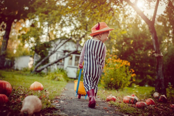 Toddler in a striped Halloween costume pulling a toy wagon past pumpkins