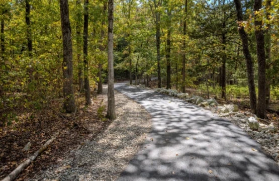 Paved trail winding through sunlit fall woods