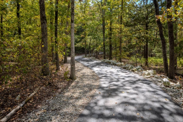 Paved trail winding through sunlit fall woods